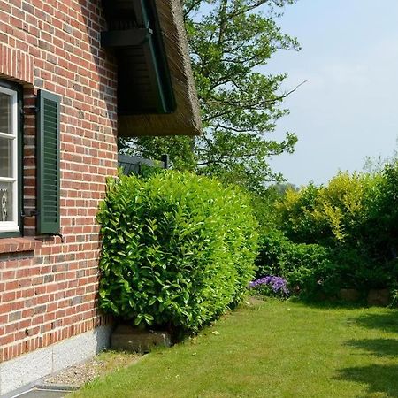 Wildrose Ferienhaus بولتينهاجين المظهر الخارجي الصورة